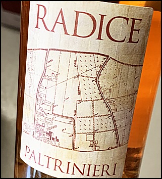 2022 Paltrinieri Lambrusco di Sorbara Radice
