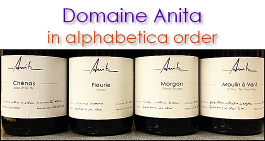 Domaine Anita
