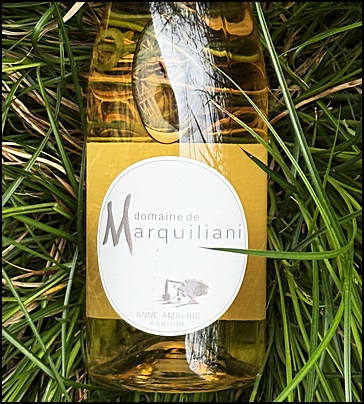 Marquiliani